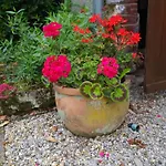 Le Picard - Baie De Somme Holiday home *